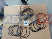 Кольца поршневые (комплект 18шт) 1009560072