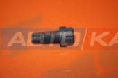 Болт 5421897/206236103 оригинал