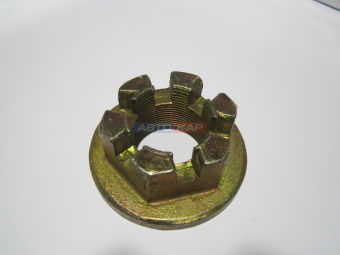 IMG_5600